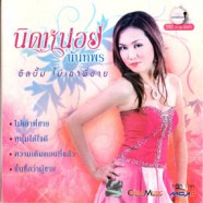 นิดหน่อย นันทพร - ไม่เอาพี่ชาย VCD1704-WEB1